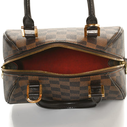 Louis Vuitton Damier Ebene Ribera Mini 5 of 10