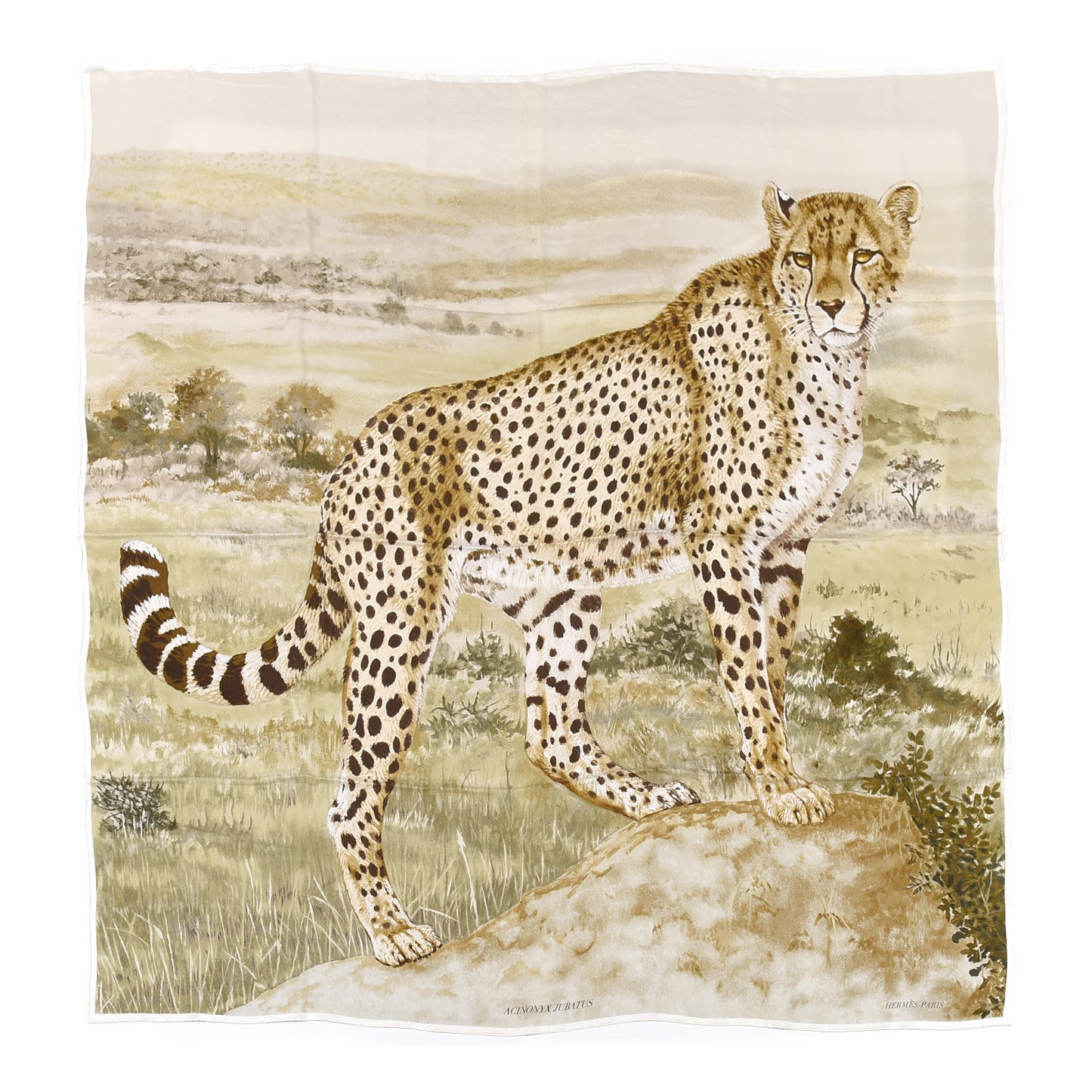 Silk Acinonyx Jubatus Wash 140 Scarf Kaki Marron Beige
