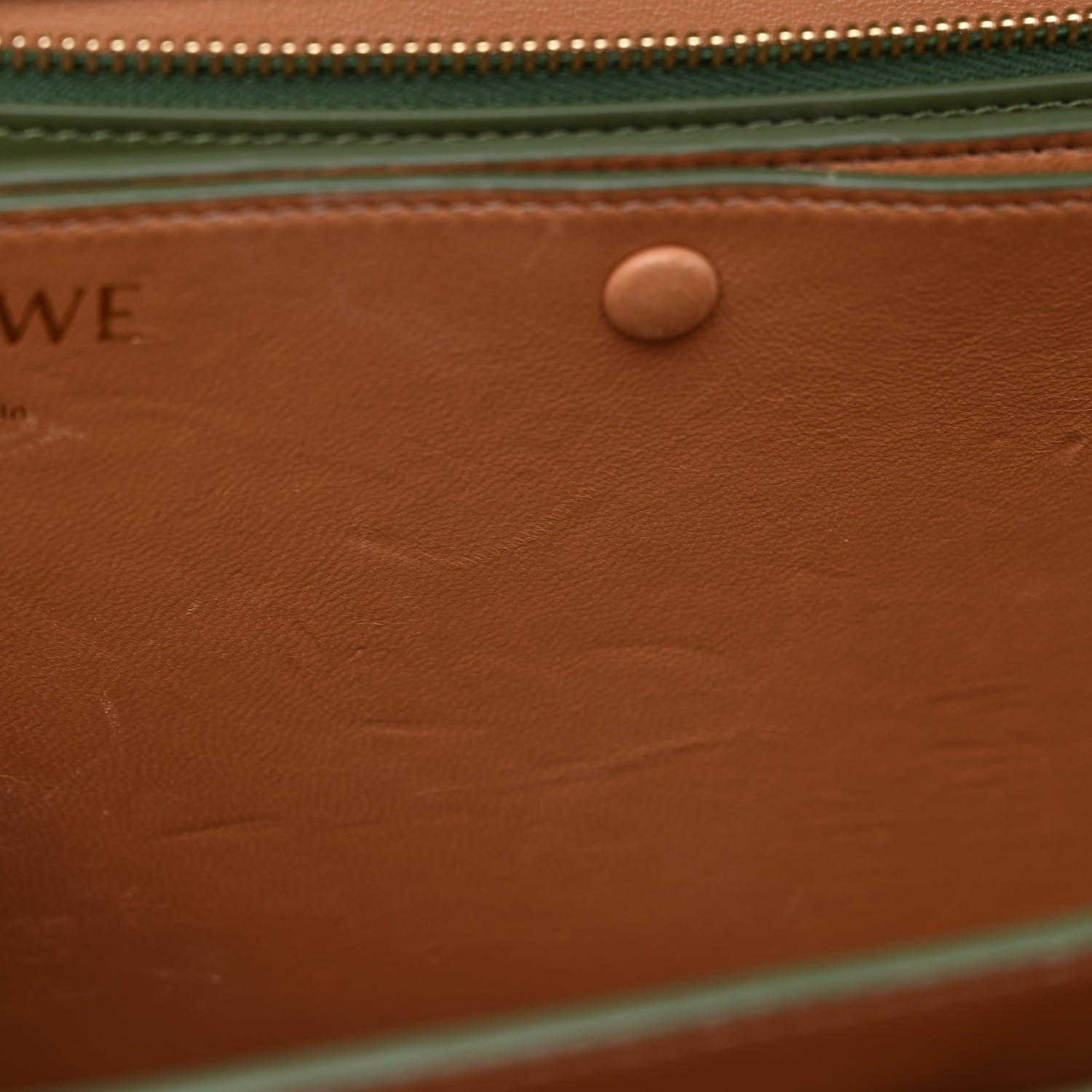 Loewe Silk Calfskin Goya Bag Avocado 12 of 16