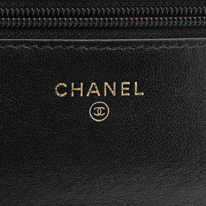Chanel Lambskin Quilted Chanel 19 Wallet On Chain WOC Black 6 of 12