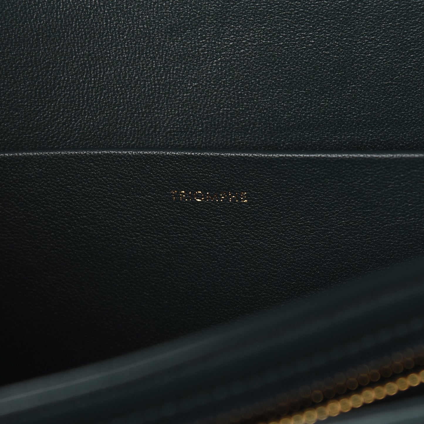 Shiny Calfskin Medium Triomphe Amazone