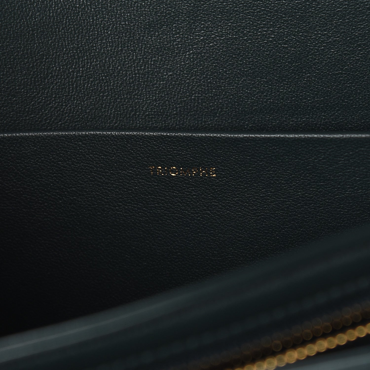 Celine Shiny Calfskin Medium Triomphe Amazone 7 of 11