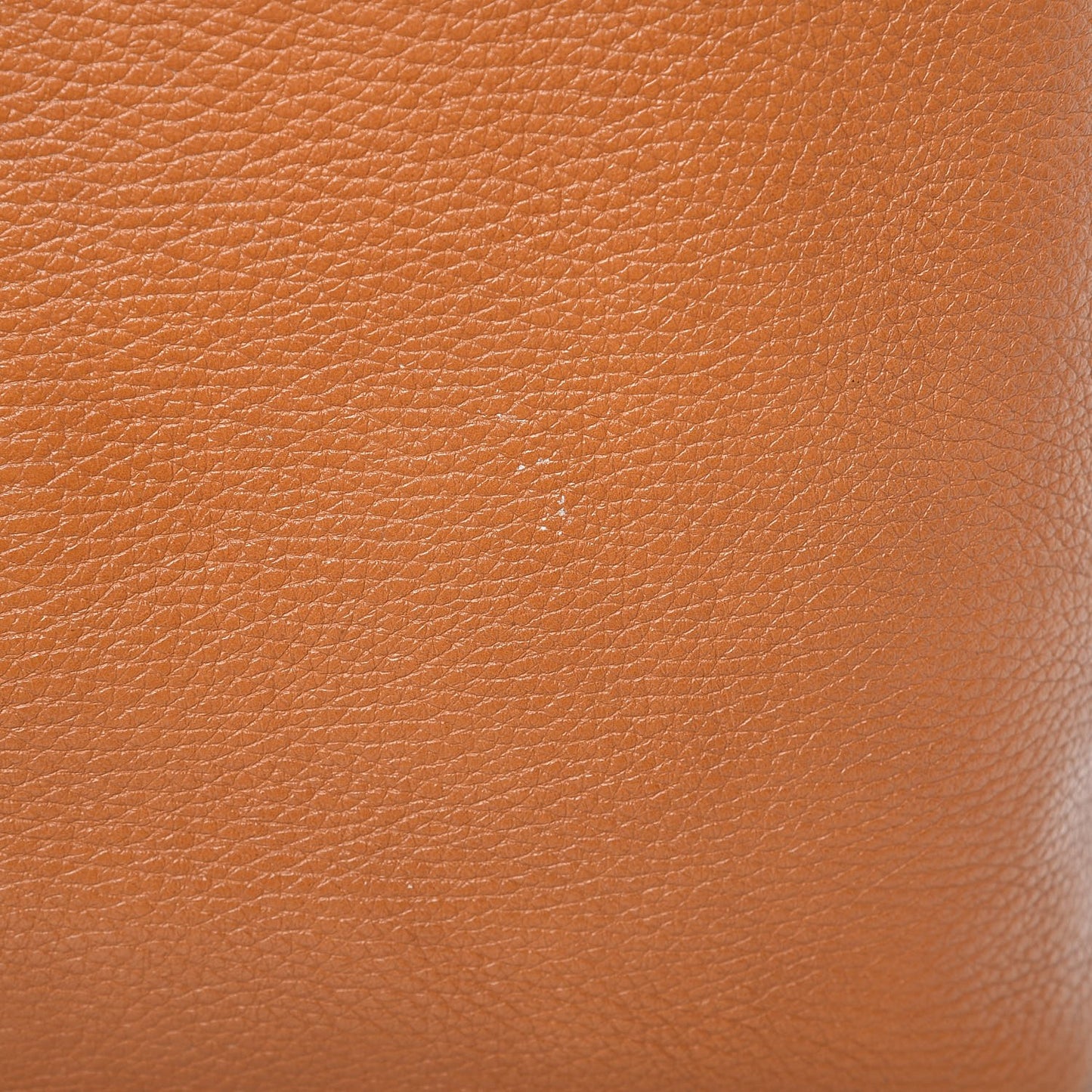 Pebbled Calfskin Skull Padlock Zip Tote Cognac