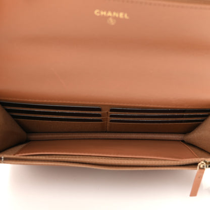 Chanel Lambskin Quilted Chanel 19 Wallet On Chain WOC Brown 5 of 14