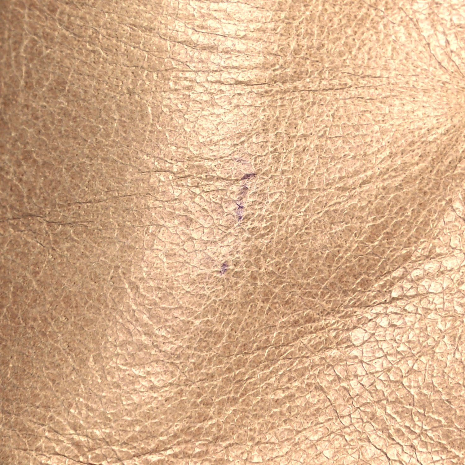 Miu Miu Vitello Shine Tote Beige 14 of 16