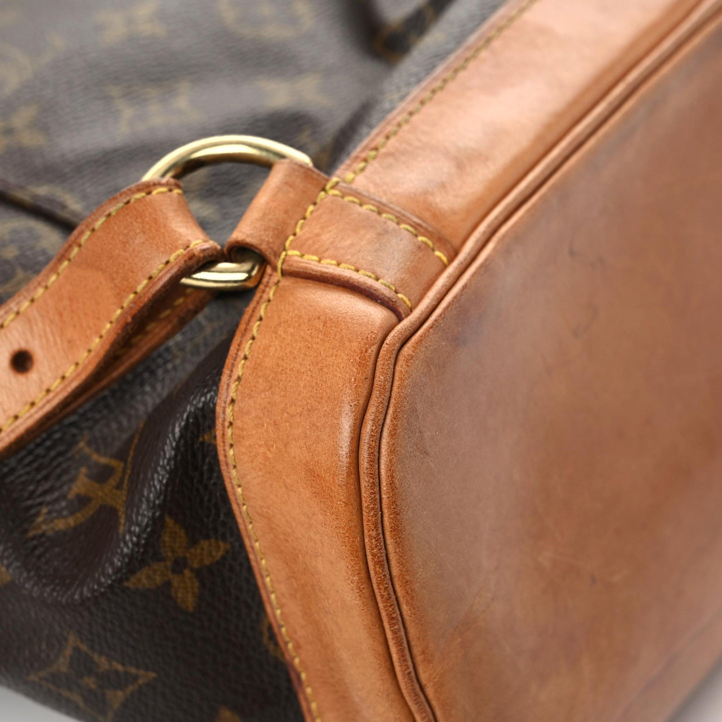 Monogram Montsouris GM Backpack