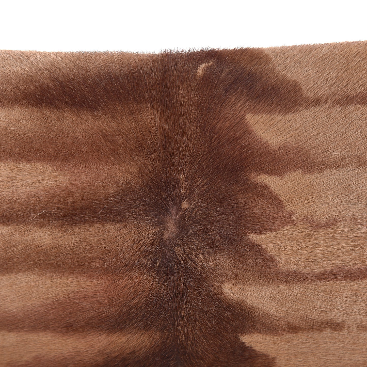 Calf Hair Zebra Print Baguette Brown