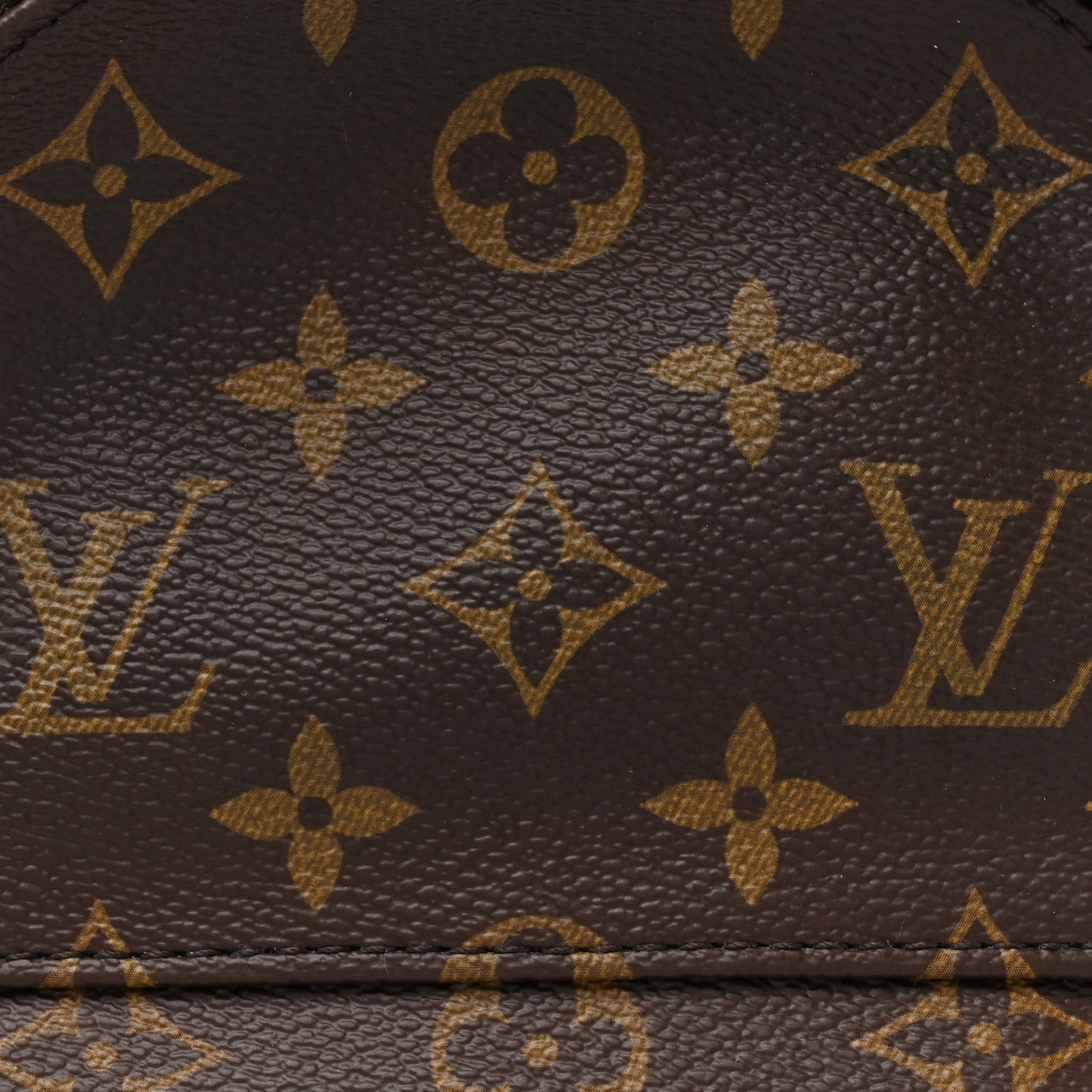 Monogram Palm Springs Backpack Mini