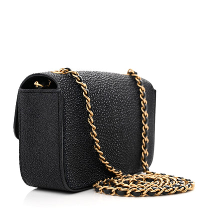 Chanel Galuchat Stingray Mini Flap Black 3 of 15