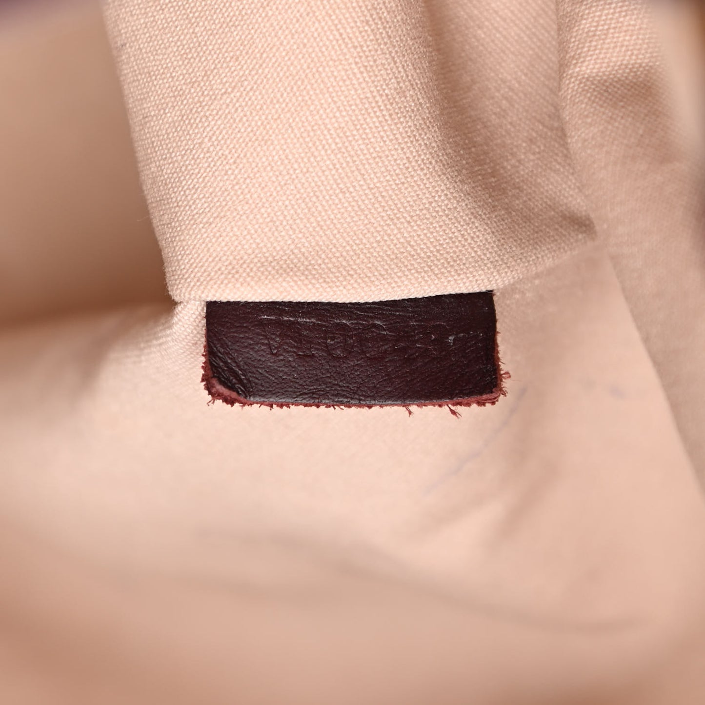 Mini Lin Monogram Noelie Cherry