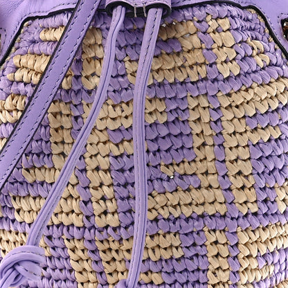 Fendi Raffia Vitello Seta F is Fendi FF Woven Mini Mon Tresor Bucket Bag Anemone Natural 9 of 12