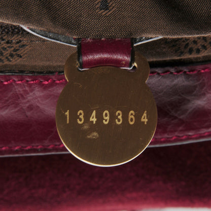 Mulberry Soft Buffalo Leather Oversized Alexa Conker 10 of 13