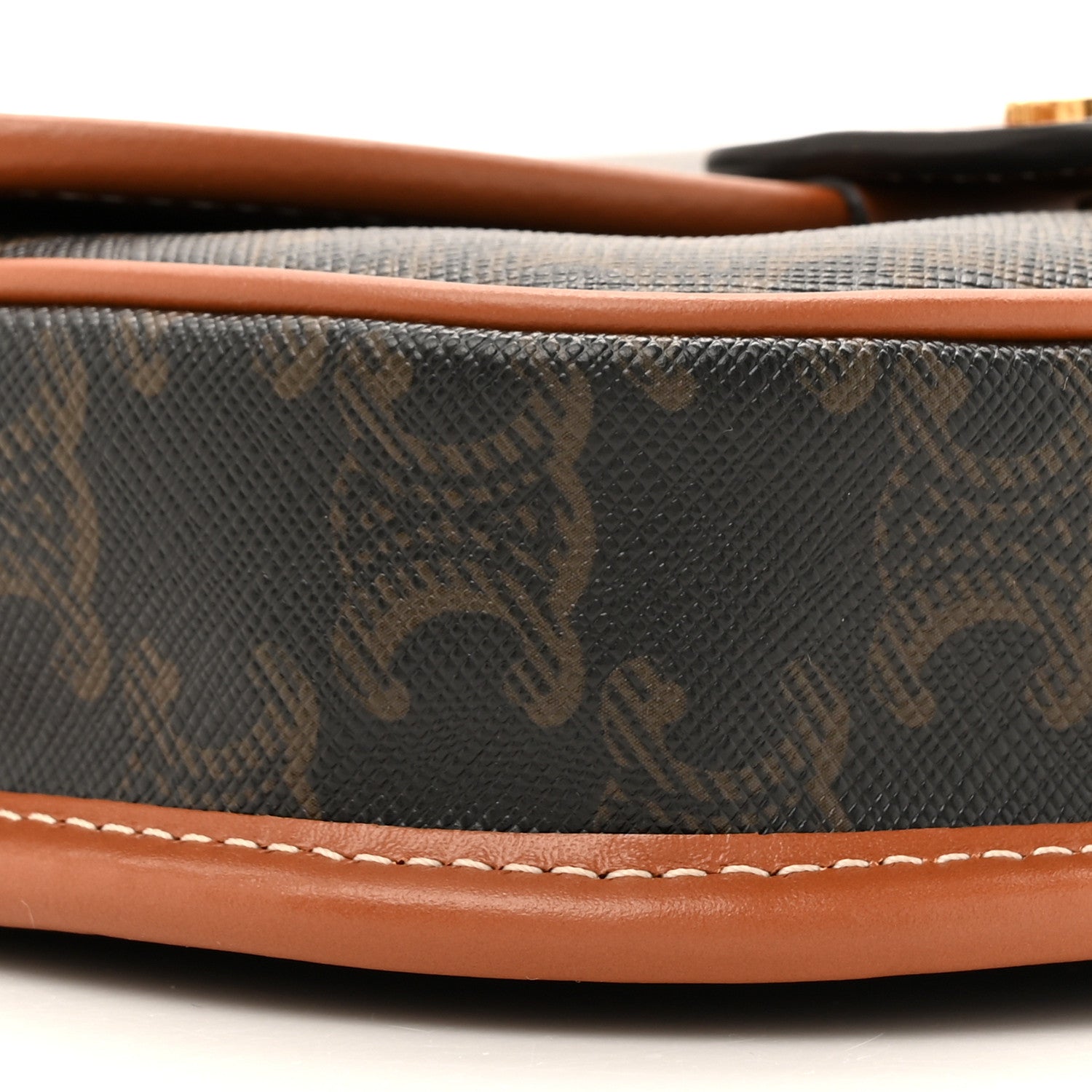 Celine Canvas Calfskin Triomphe Mini Besace Tan 10 of 10