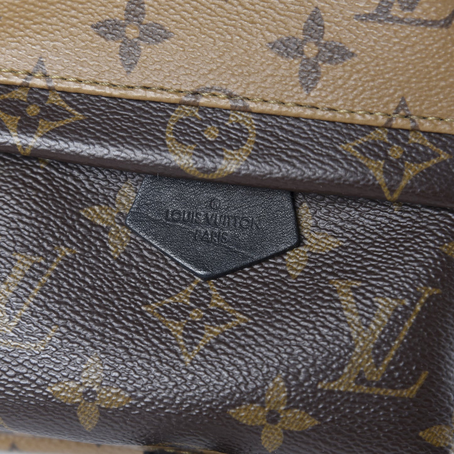 Reverse Monogram Palm Springs Backpack Mini