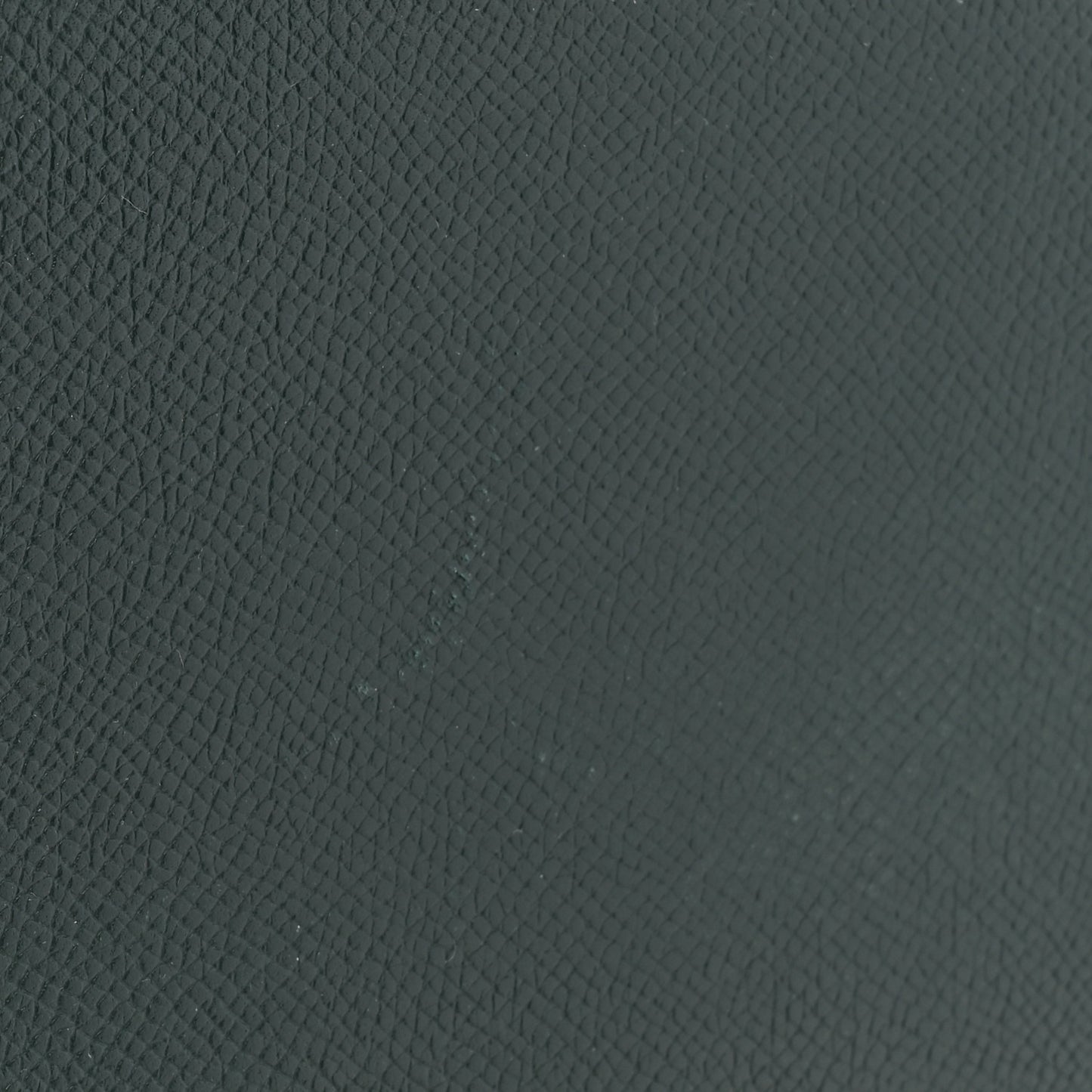 Grained Calfskin Nano Belt Bag Amazone