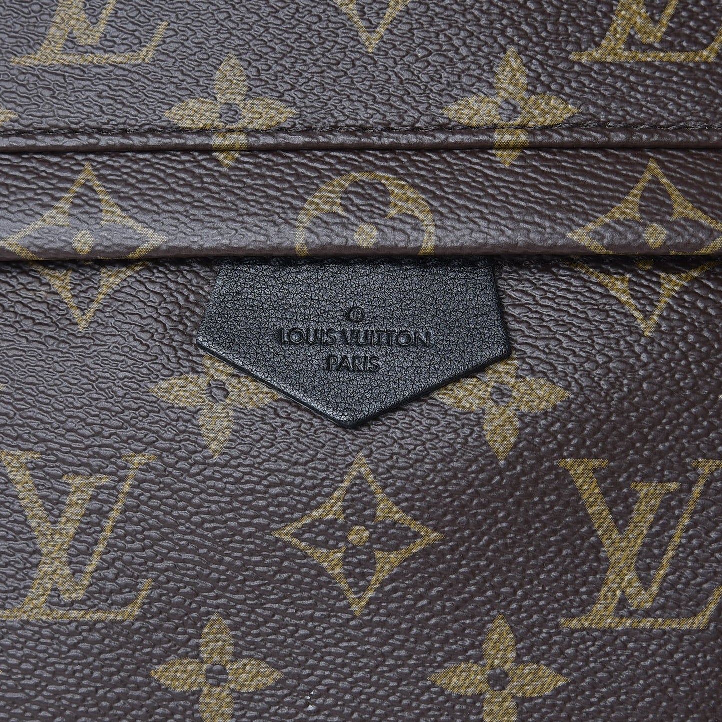 Monogram Palm Springs Backpack PM