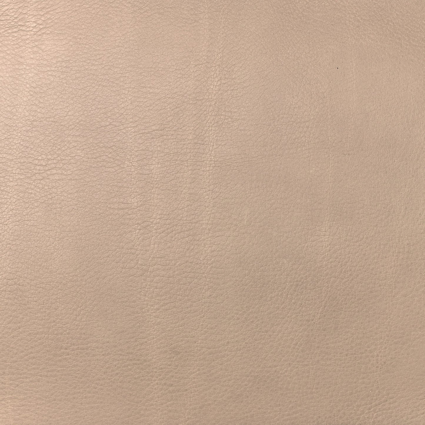 Supple Calfskin Medium Phantom Luggage Beige