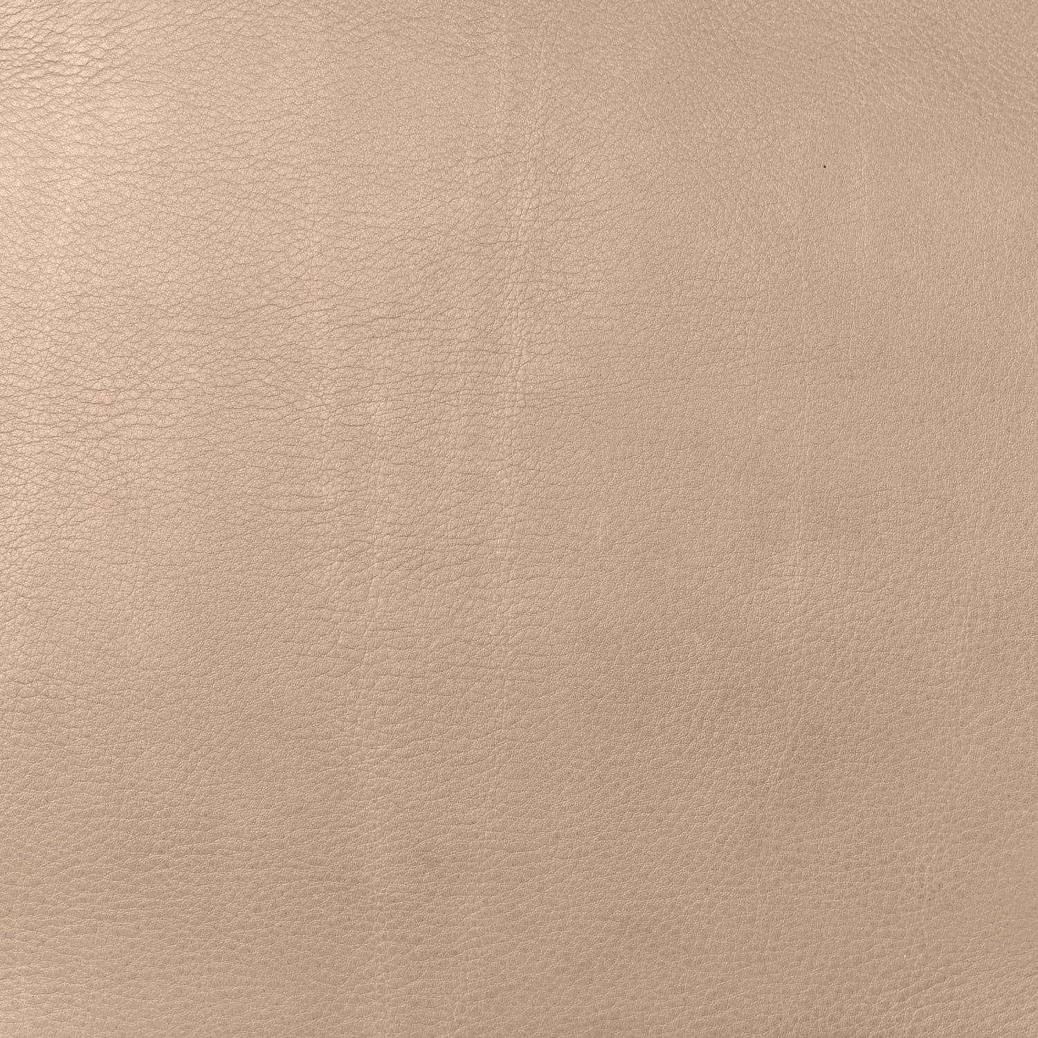 Celine Supple Calfskin Medium Phantom Luggage Beige 18 of 19