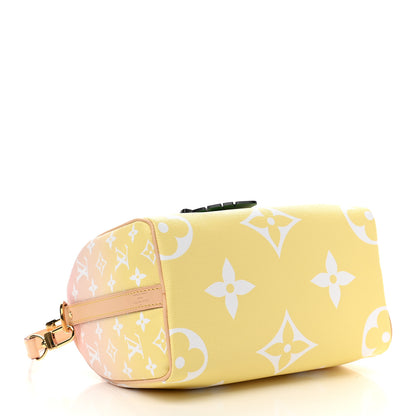 Louis Vuitton Monogram Giant By The Pool Speedy Bandouliere 25 Light Pink 4 of 9