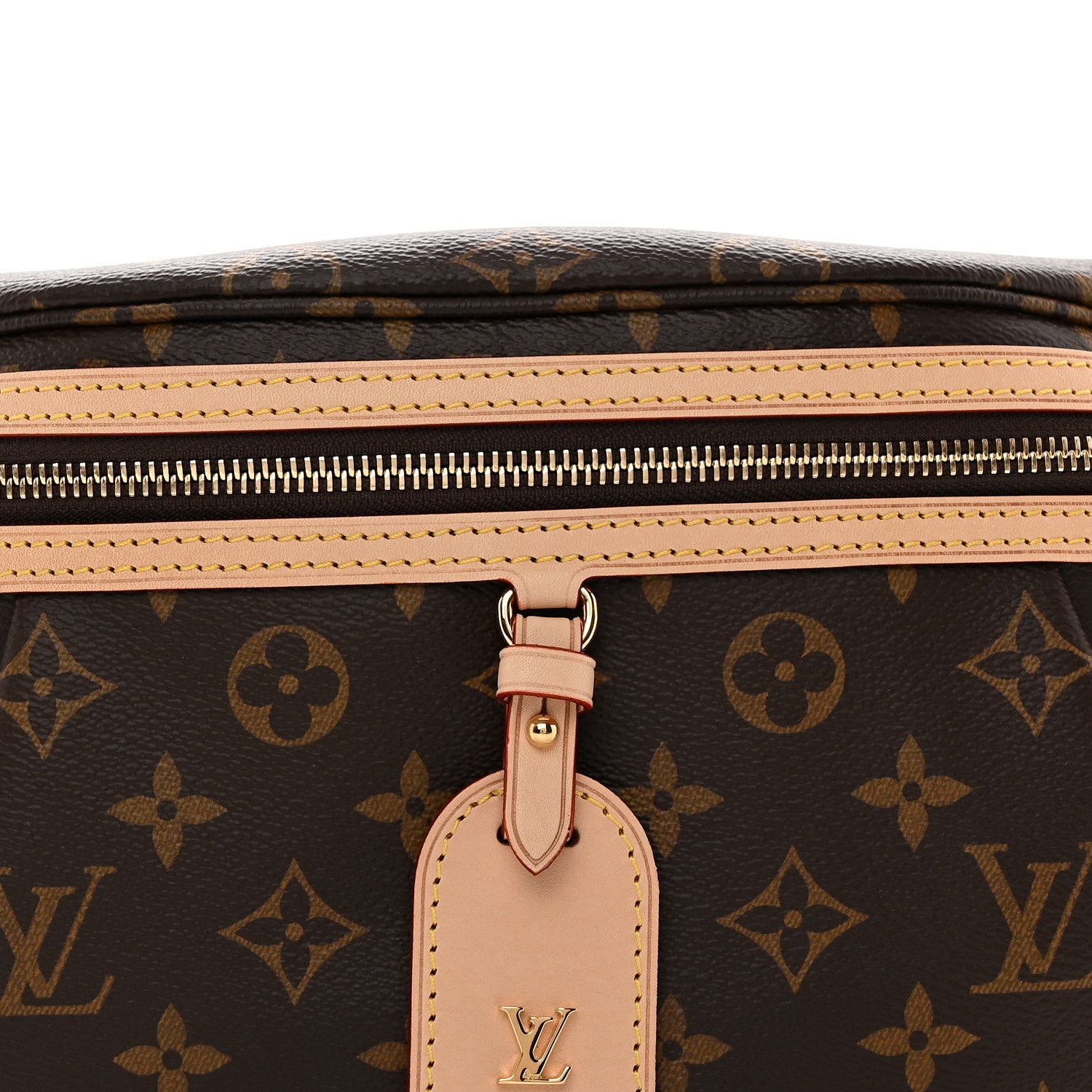 Louis Vuitton Monogram High Rise Bumbag 7 of 10
