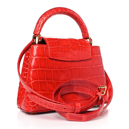 Louis Vuitton Crocodile Mini Capucines Rubis 3 of 8