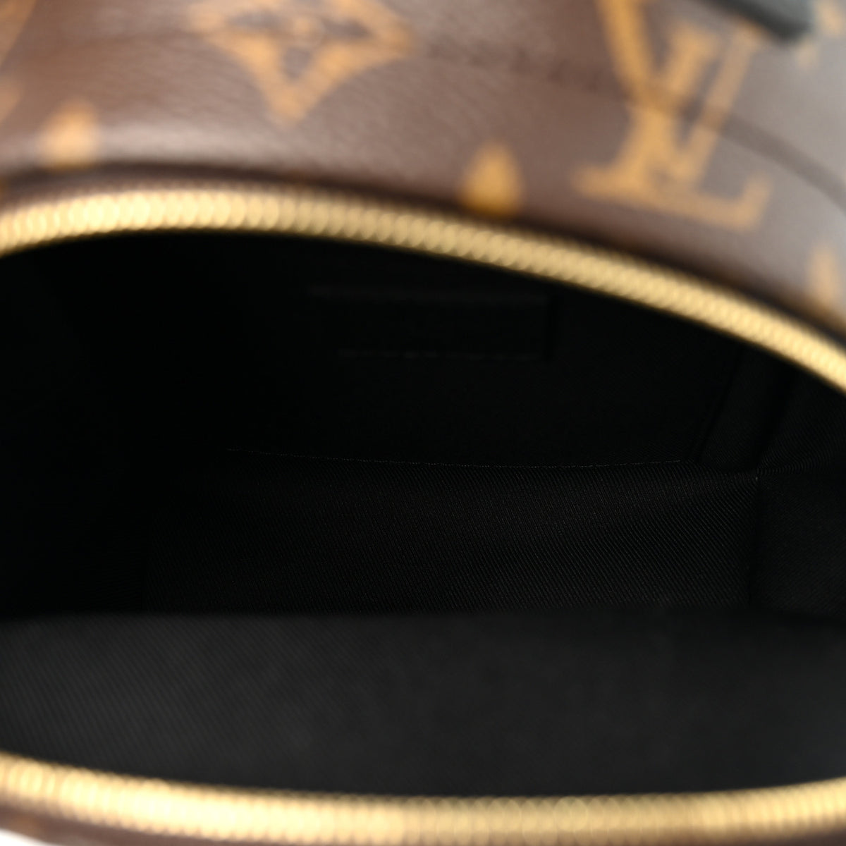 Louis Vuitton Monogram Palm Springs Backpack Mini 5 of 9