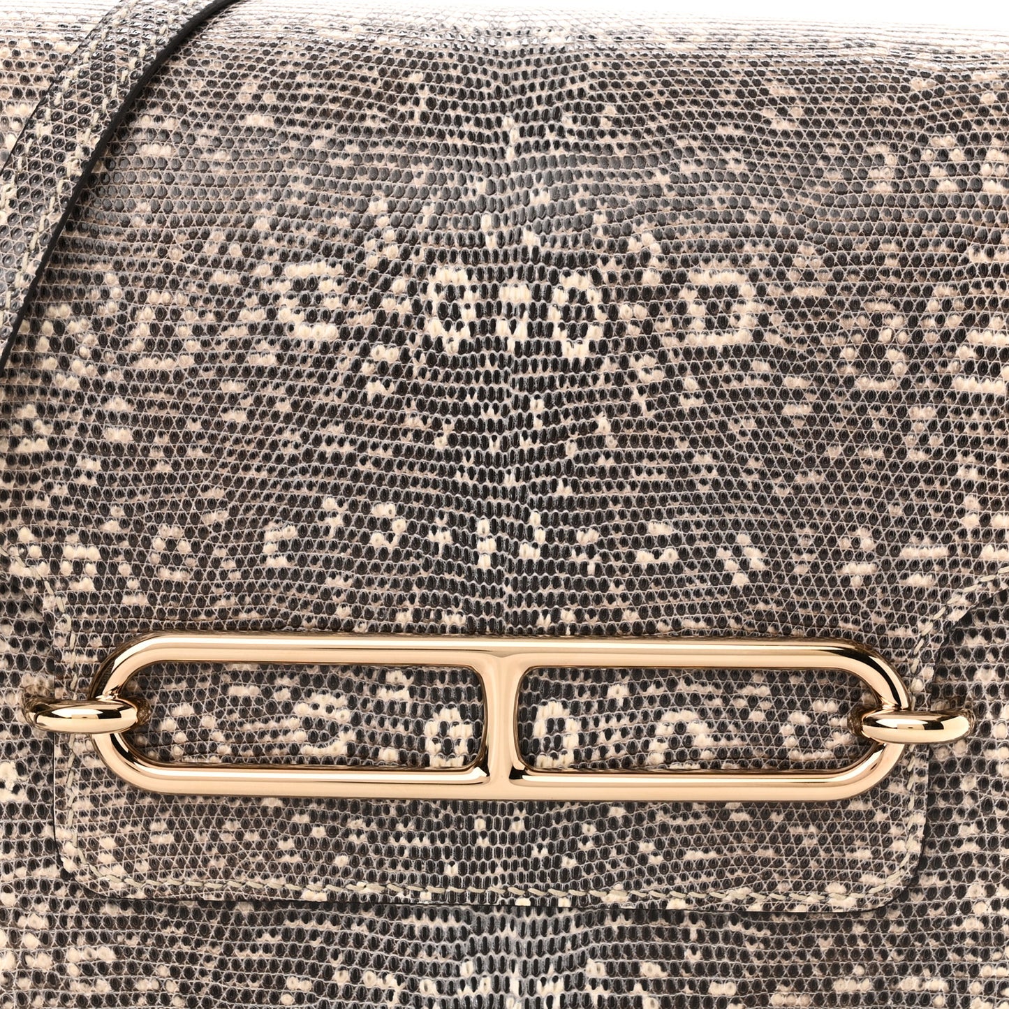 Lizard Mini Sac Roulis Ombre