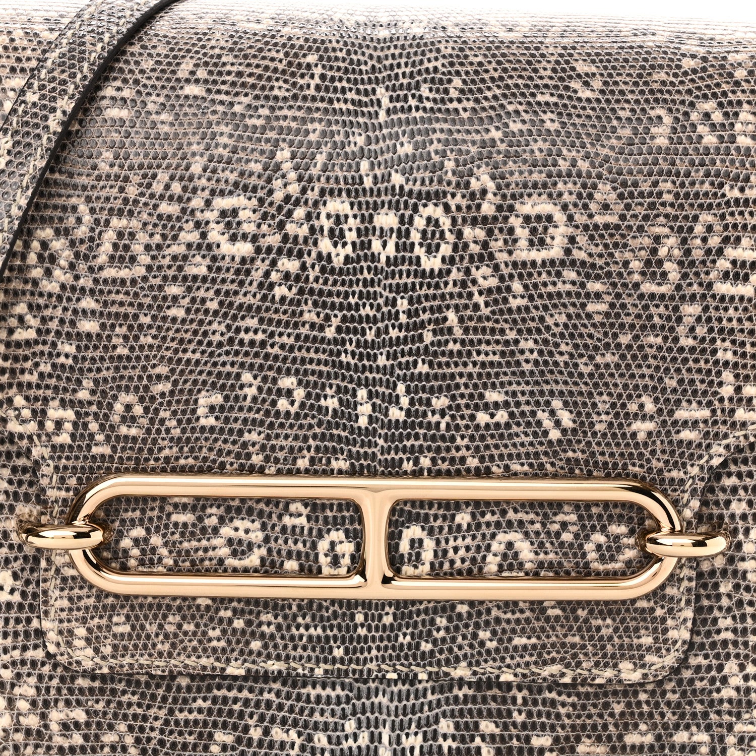 Hermes Lizard Mini Sac Roulis Ombre 8 of 11