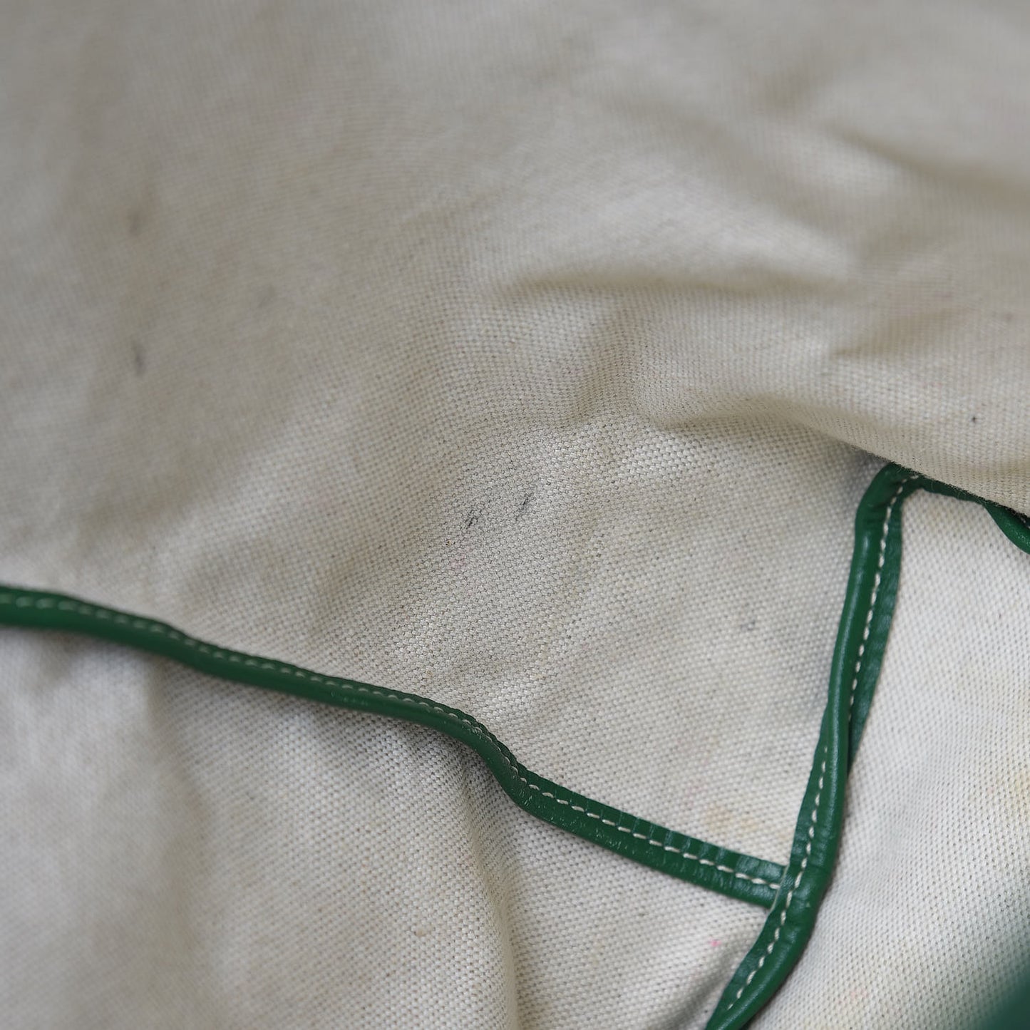 Goyardine Saint Louis PM Green