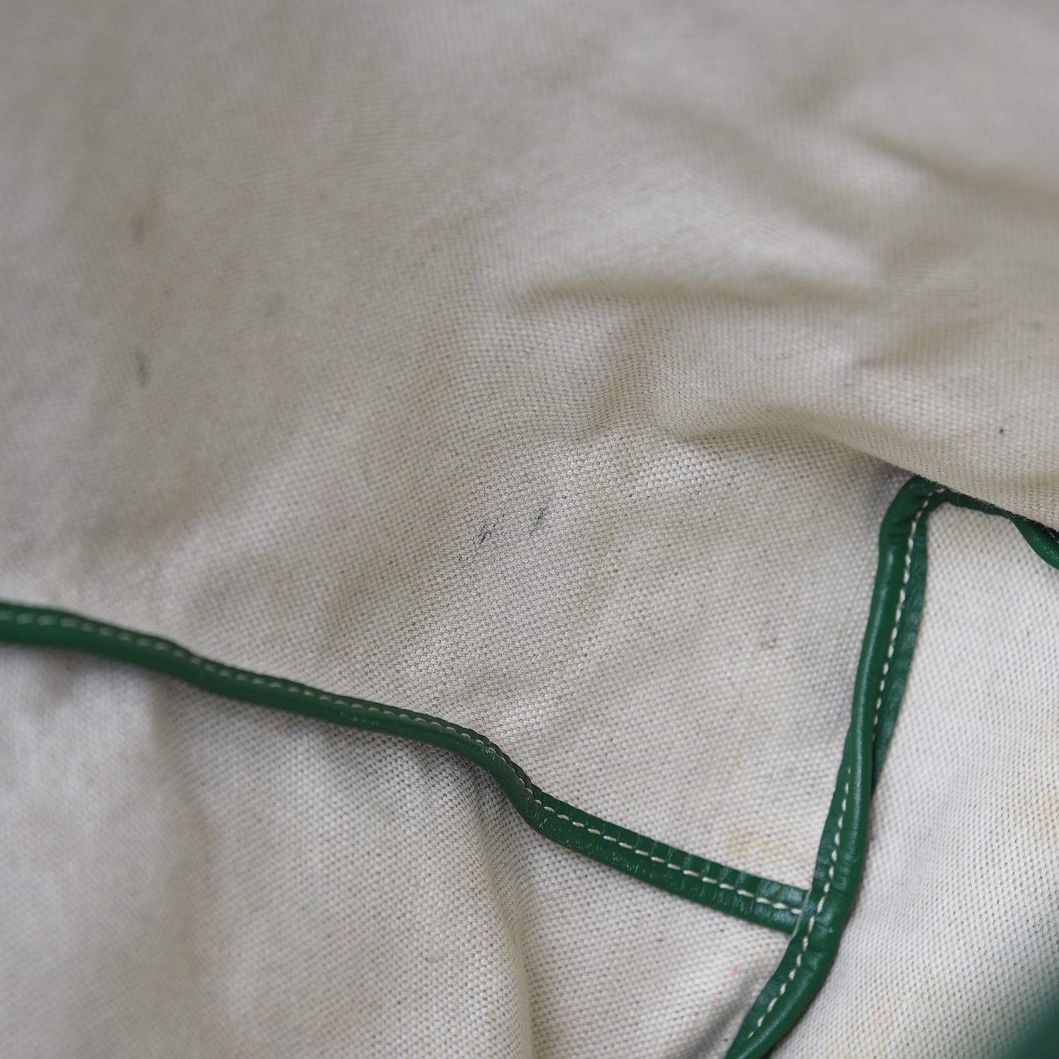Goyard Goyardine Saint Louis PM Green 17 of 17