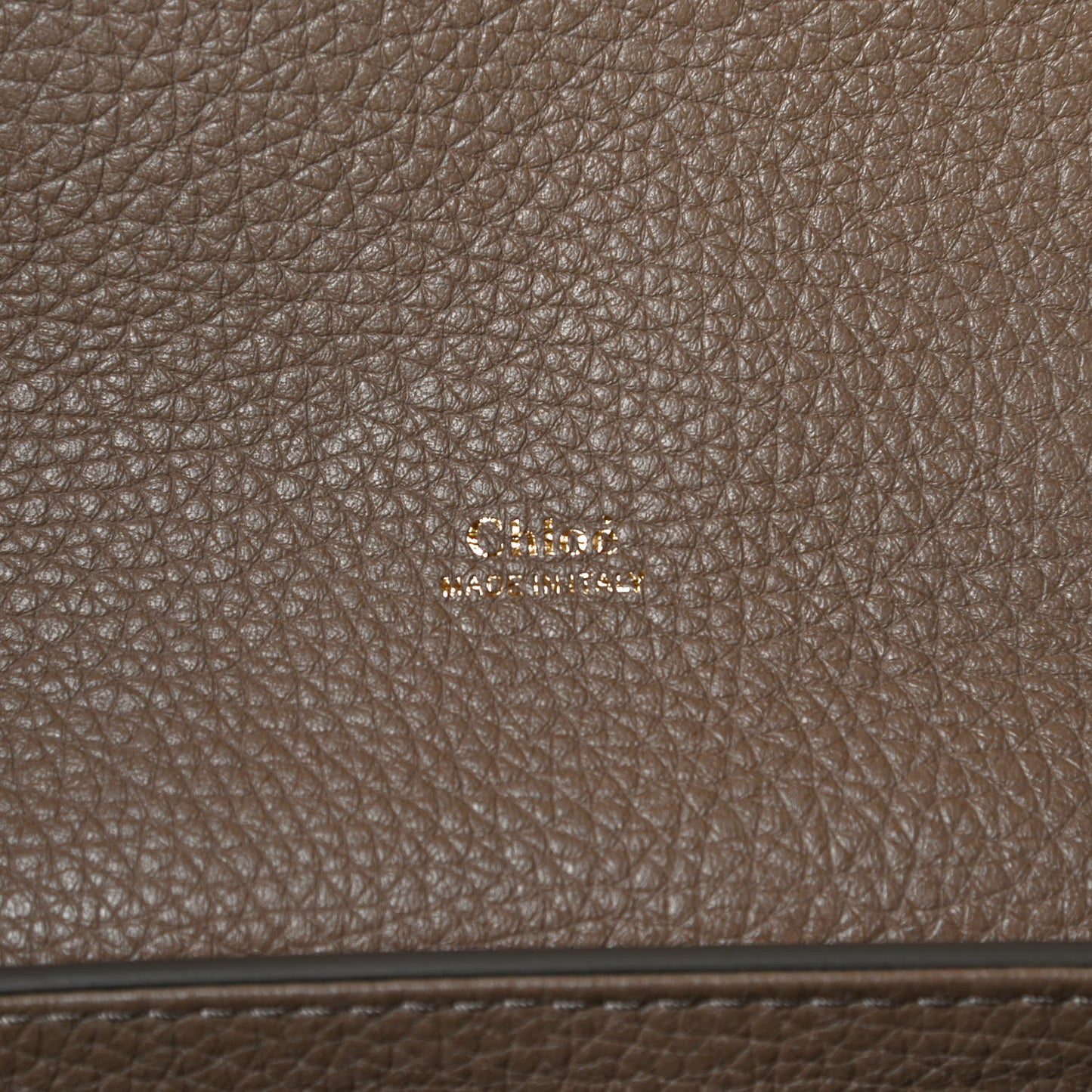 Shiny Grained Calfskin Medium Aby Day Shoulder Bag Motty Grey