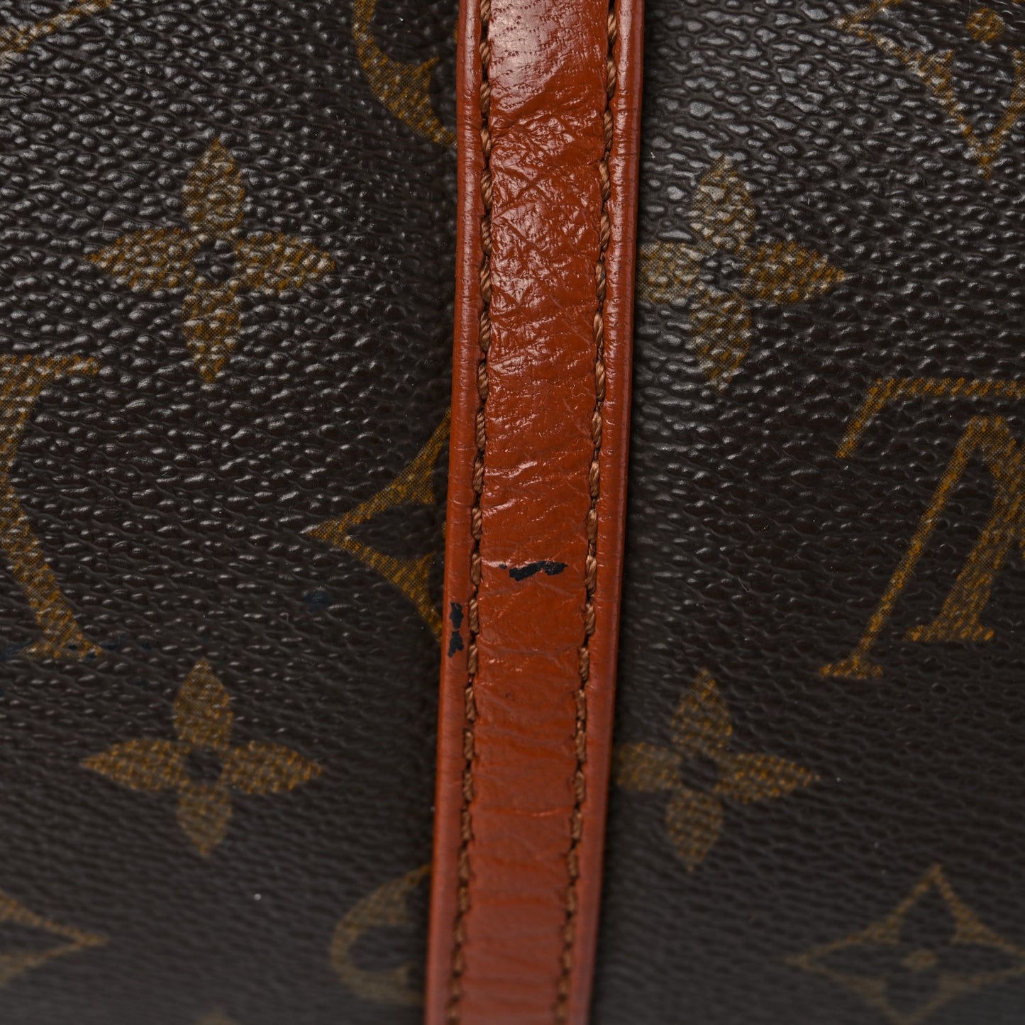 Monogram Papillon 30 with Companion