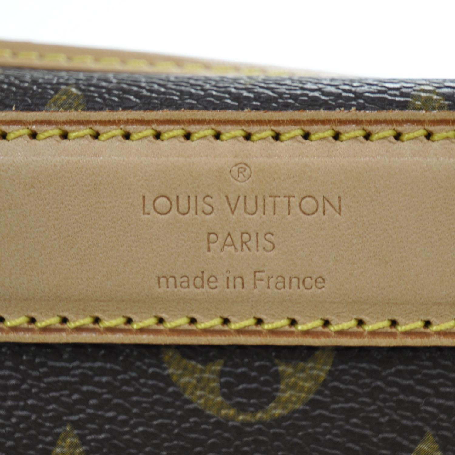 Louis Vuitton Monogram Sac Chien 50 Pet Carrier 8 of 9