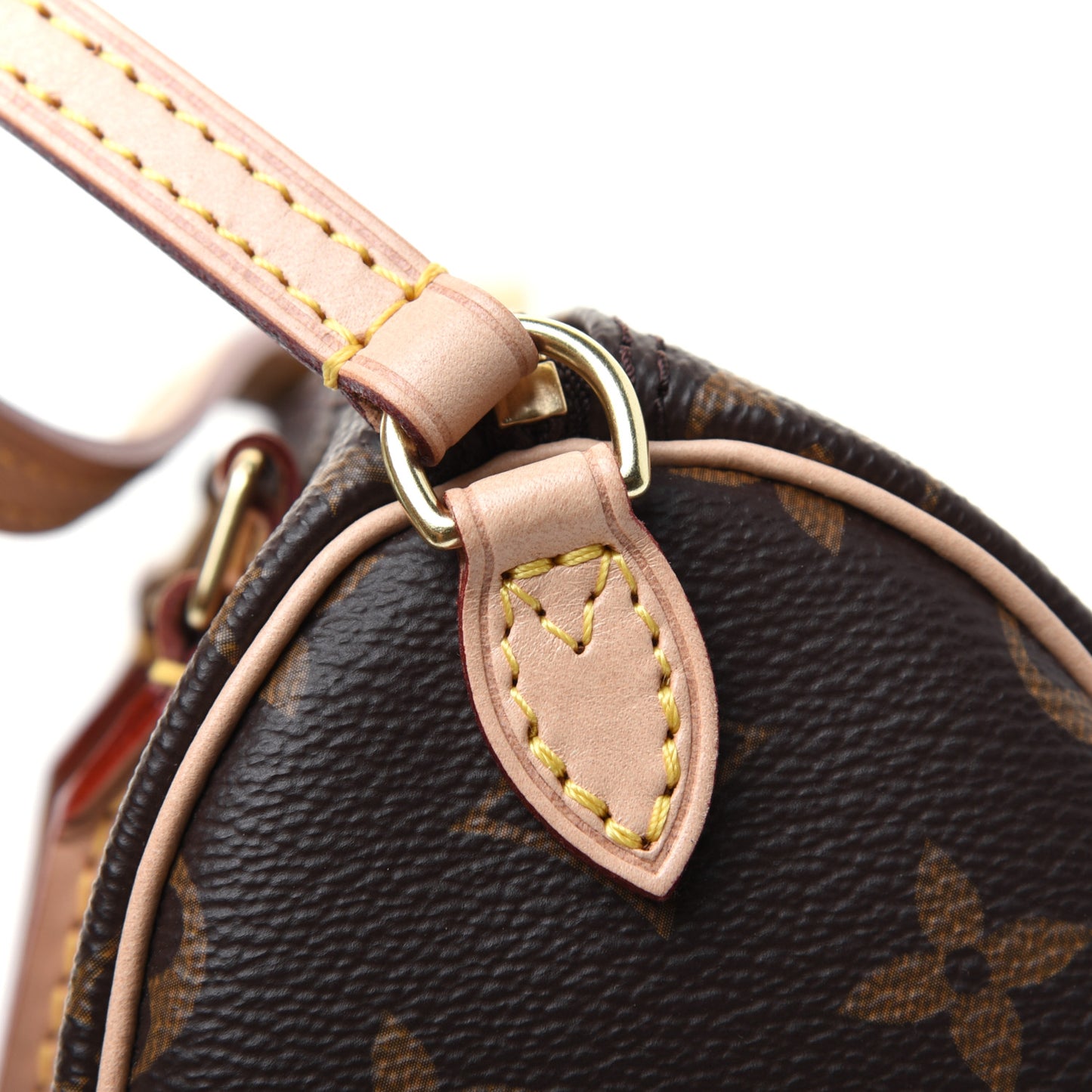 Monogram Nano Speedy