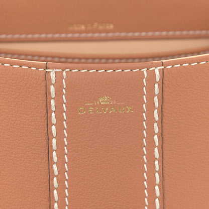 Delvaux Grained Rodeo Calfskin Surpique Mini Brillant Satchel Vegetal Ivory 6 of 10