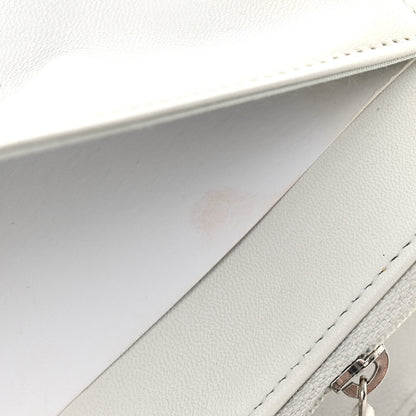 Chanel Metallic Galuchat Stingray Lambskin Boy Wallet On Chain WOC Silver 13 of 15