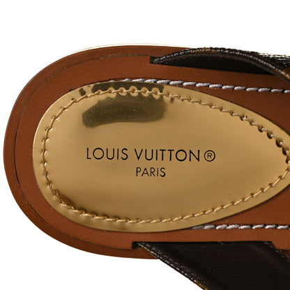 Louis Vuitton Monogram Sunny Flat Thong Sandals 35 Brown 7 of 9