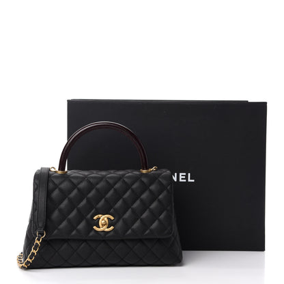 Chanel Caviar Lizard Embossed Quilted Small Coco Handle Flap Black 12 of 12