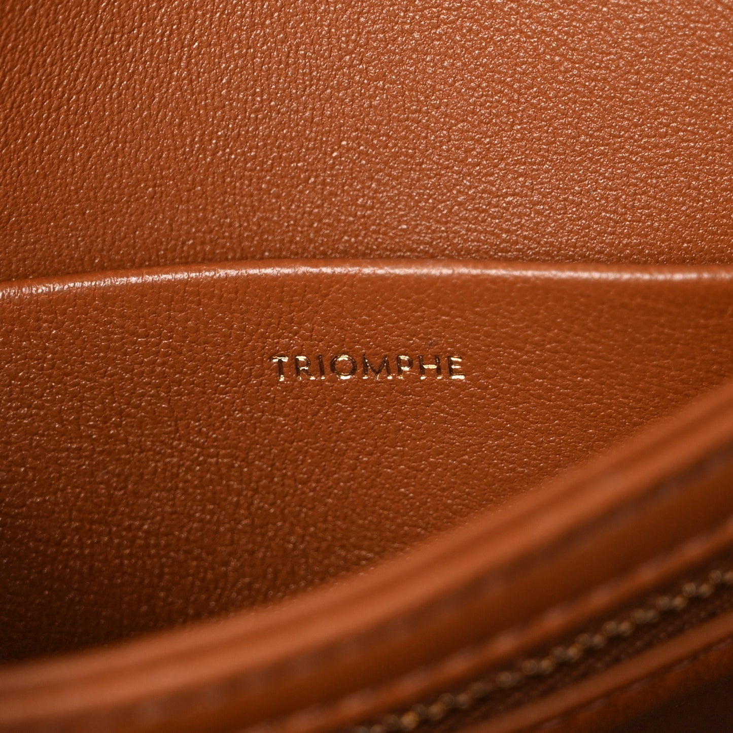 Calfskin Triomphe Canvas Teen Triomphe Bag Tan