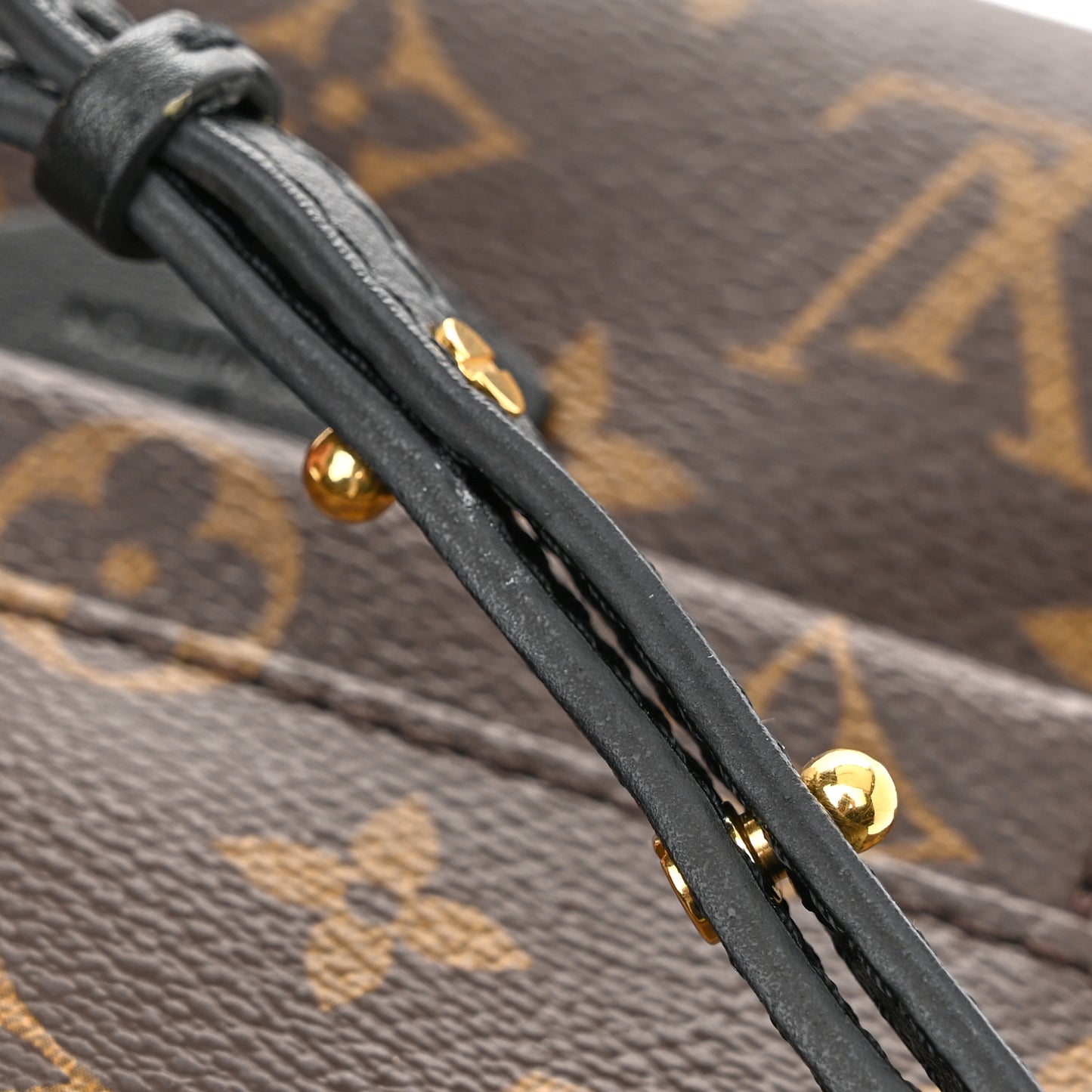 Monogram Palm Springs Backpack Mini