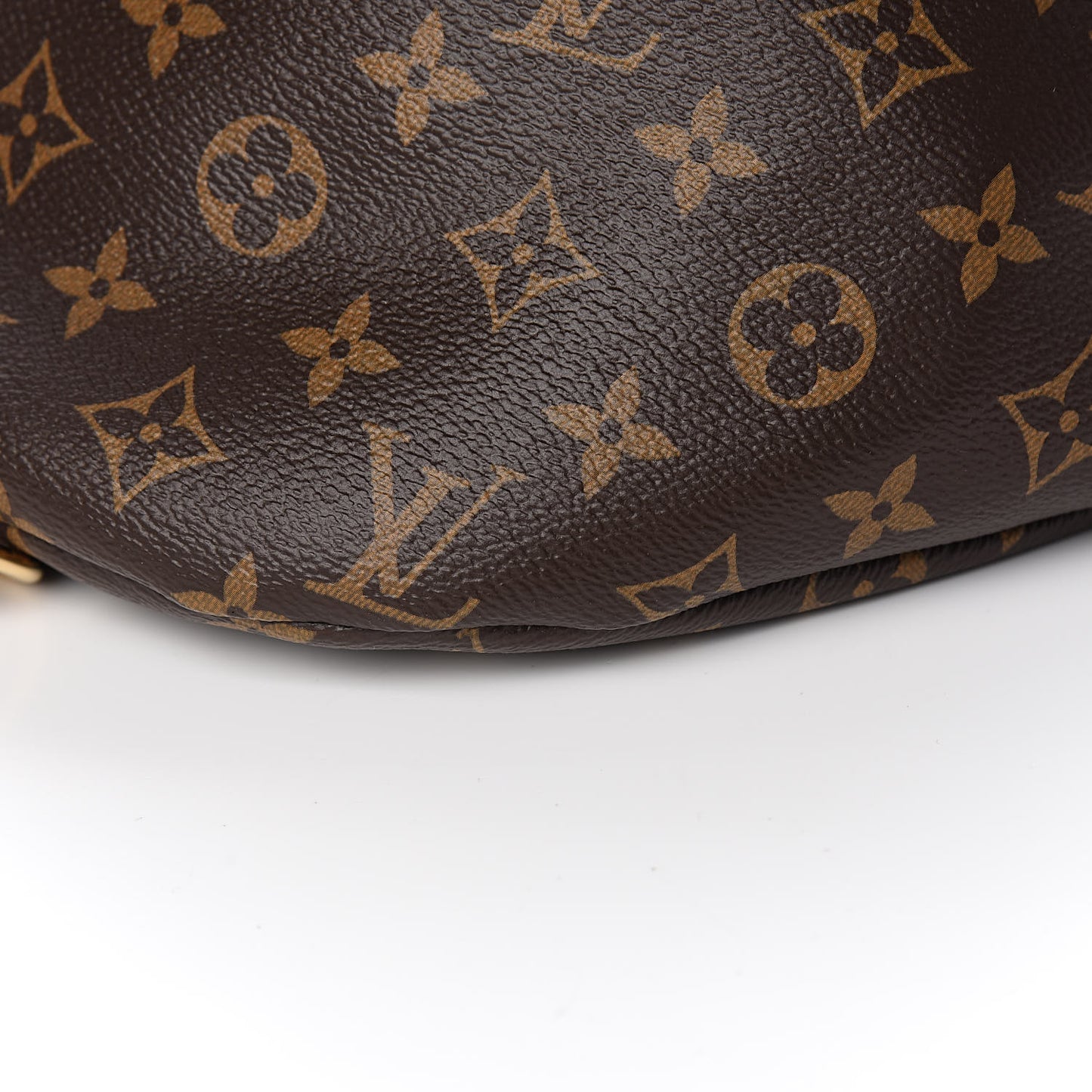 Monogram Bumbag