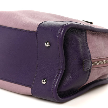 Loewe Goatskin Amazona 28 Purple 9 of 9