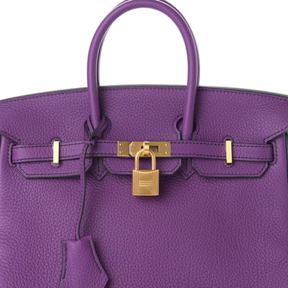 Hermes Togo Horseshoe Birkin 25 Anemone Black 10 of 10