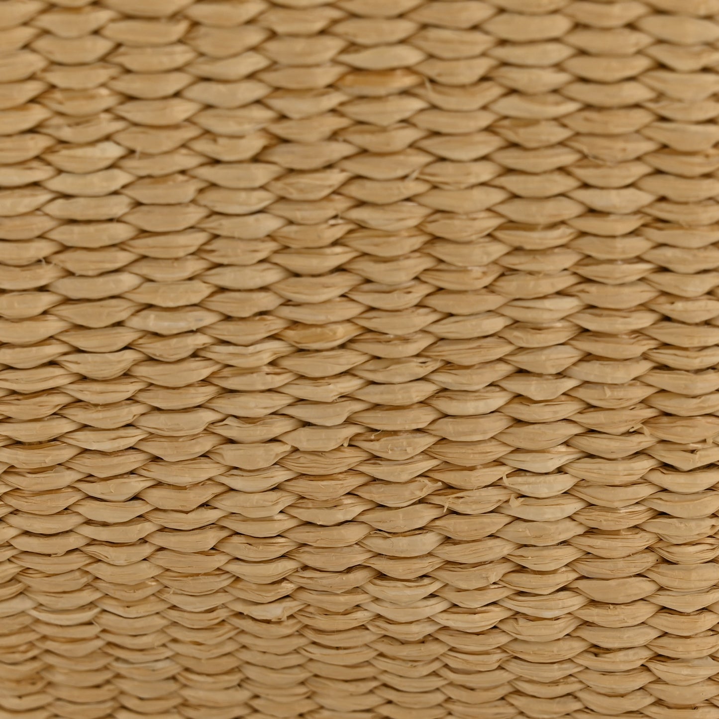 Raffia Linen Calfskin Rive Gauche Tote Naturale Black