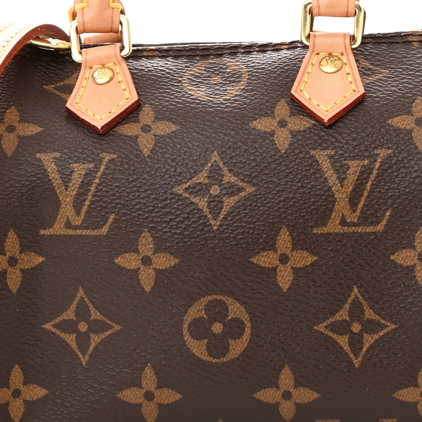 Monogram Nano Speedy