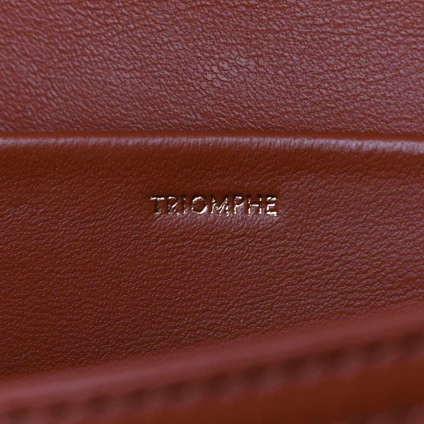 Triomphe Canvas Calfskin Medium Triomphe Tan