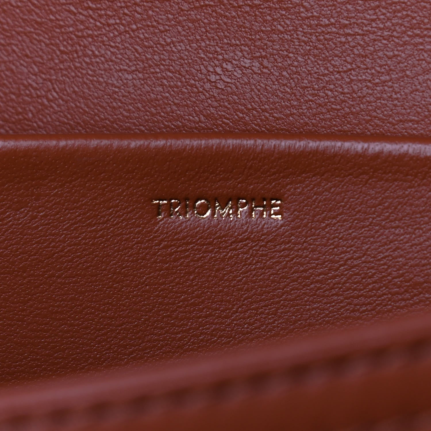 Celine Triomphe Canvas Calfskin Medium Triomphe Tan 6 of 11