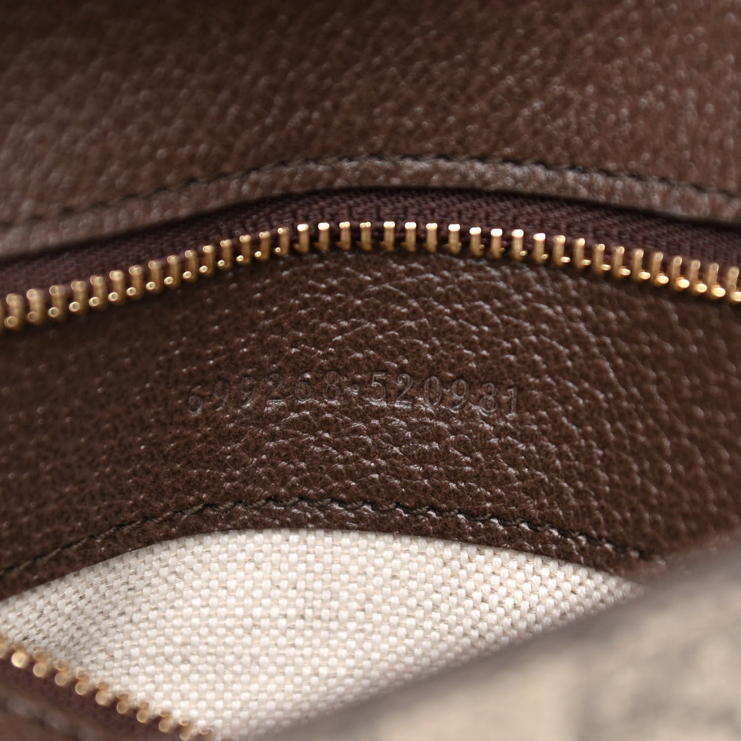 GG Supreme Monogram Textured Dollar Calfskin Blondie Chain Shoulder Flap Bag Beige Ebony New Acero