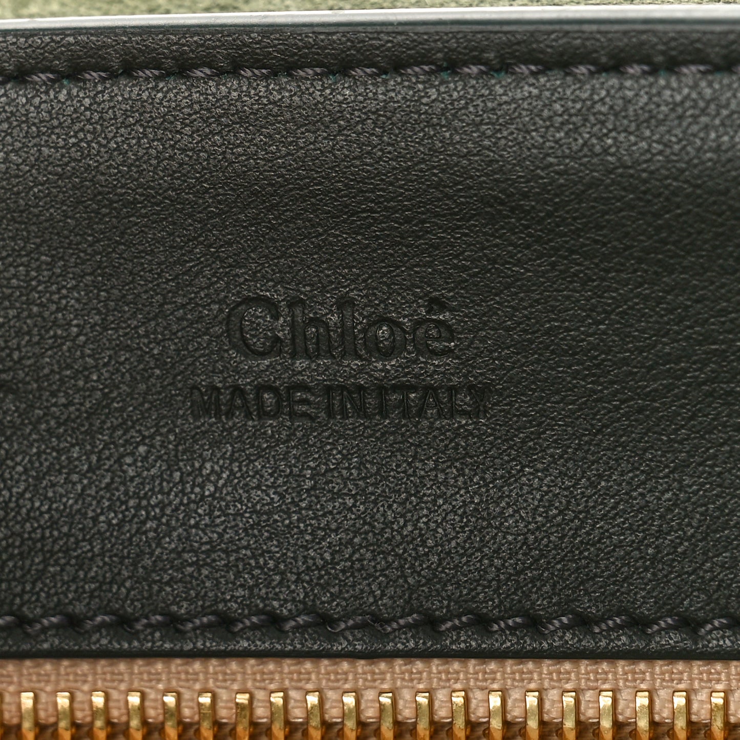 Calfskin Suede Mini Tess Day Bag Black Olive