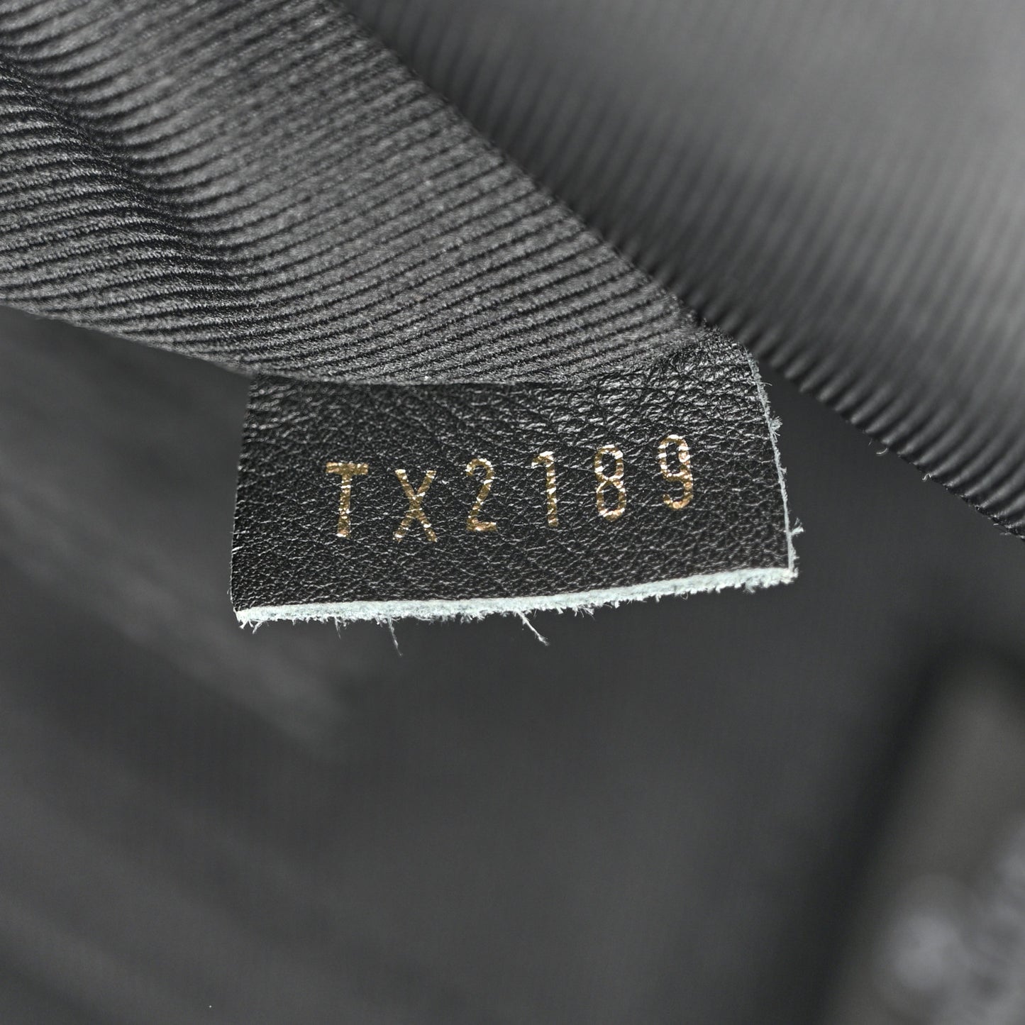Reverse Monogram Palm Springs Backpack Mini